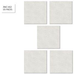 Gạch ốp lát AN CƯ ANC H02