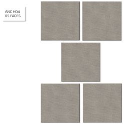 Gạch ốp lát AN CƯ ANC H04